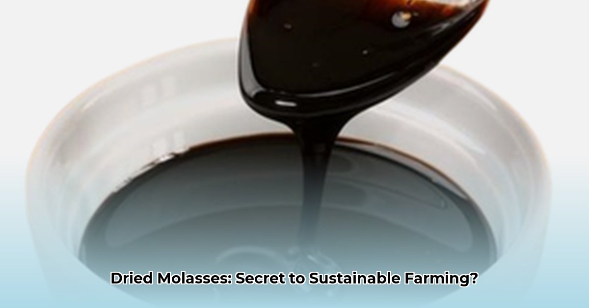 dried-molasses-tractor-supply